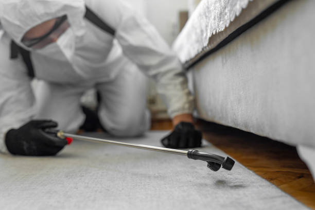 Professional Bed Bug Control technician working in Cypress Lake, FL
